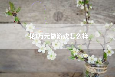 花1万元做游戏怎么样  第1张