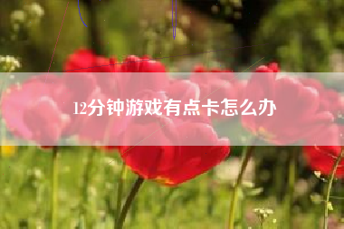12分钟游戏有点卡怎么办  第1张