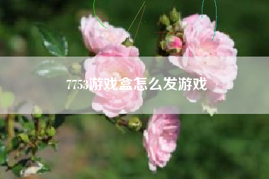 7753游戏盒怎么发游戏  第1张