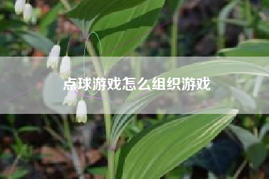 点球游戏怎么组织游戏  第1张