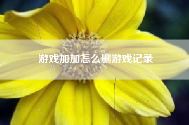 游戏加加怎么删游戏记录  第1张