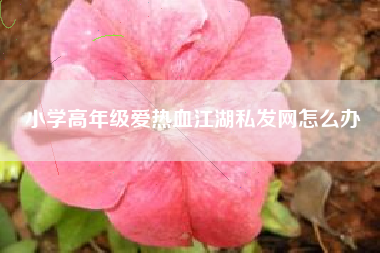 小学高年级爱热血江湖私发网怎么办  第1张