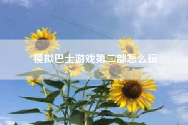 模拟巴士游戏第二部怎么玩  第1张