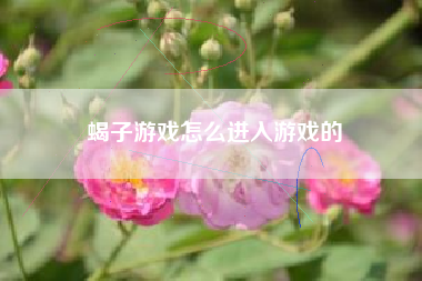 蝎子游戏怎么进入游戏的  第1张