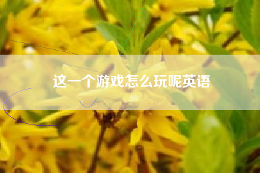 这一个游戏怎么玩呢英语  第1张