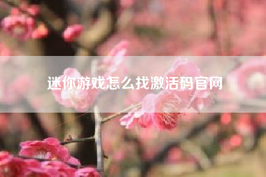 迷你游戏怎么找激活码官网  第1张