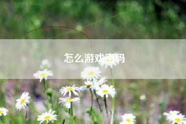 怎么游戏密码  第1张