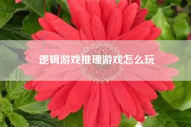 逻辑游戏推理游戏怎么玩  第1张