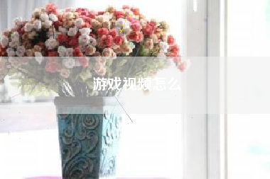 游戏视频怎么  第1张