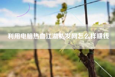 利用电脑热血江湖私发网怎么样赚钱  第1张