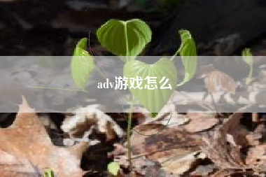 adv游戏怎么  第1张