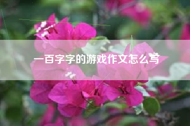 一百字字的游戏作文怎么写  第1张