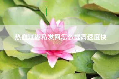 热血江湖私发网怎么提高速度快  第1张