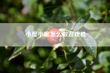 小度小度怎么做游戏机  第1张