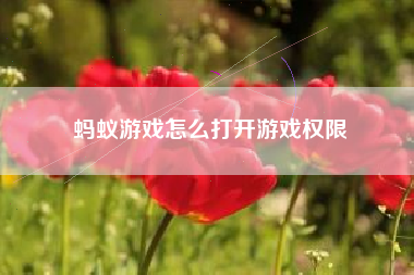 蚂蚁游戏怎么打开游戏权限  第1张