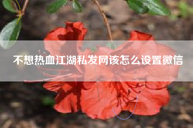 不想热血江湖私发网该怎么设置微信  第1张