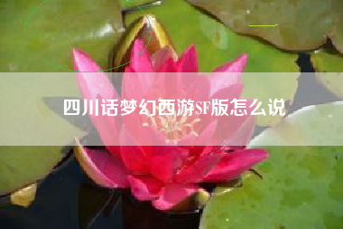 四川话梦幻西游SF版怎么说  第1张