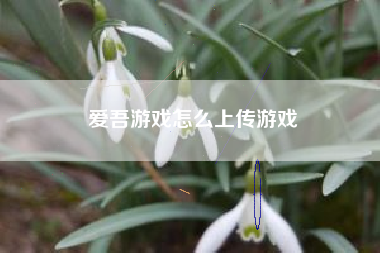 爱吾游戏怎么上传游戏  第1张