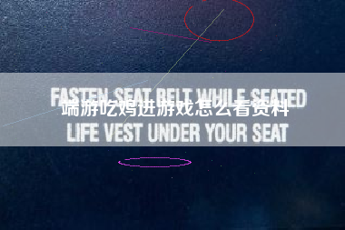 端游吃鸡进游戏怎么看资料  第1张