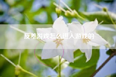 反差游戏怎么进入游戏的  第1张