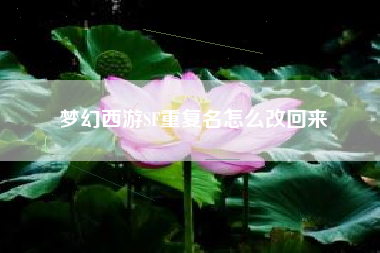 梦幻西游SF重复名怎么改回来  第1张