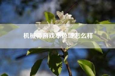 机械师游戏本色域怎么样  第1张