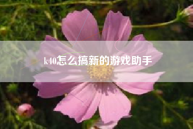 k40怎么搞新的游戏助手