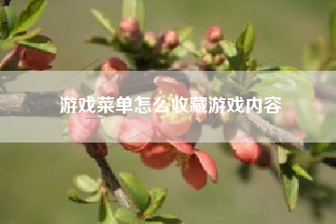 游戏菜单怎么收藏游戏内容  第1张