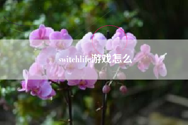 switchlife游戏怎么