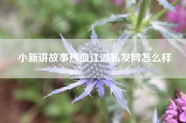 小新讲故事热血江湖私发网怎么样  第1张