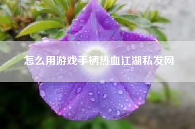 怎么用游戏手柄热血江湖私发网