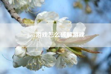 java游戏怎么破解游戏
