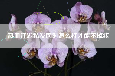 热血江湖私发网时怎么样才能不掉线