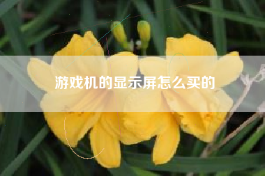 游戏机的显示屏怎么买的