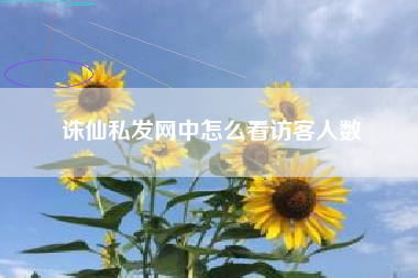 诛仙私发网中怎么看访客人数
