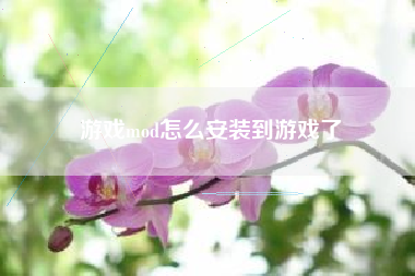 游戏mod怎么安装到游戏了