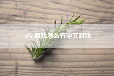 xbox游戏怎么有中文游戏