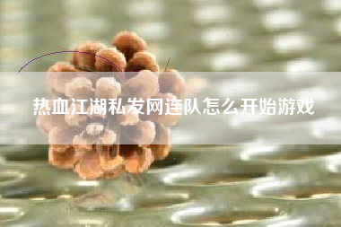 热血江湖私发网连队怎么开始游戏