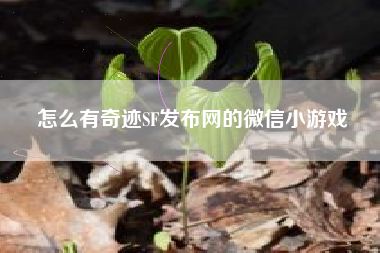 怎么有奇迹SF发布网的微信小游戏