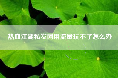 热血江湖私发网用流量玩不了怎么办