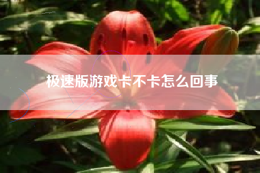 极速版游戏卡不卡怎么回事  第1张