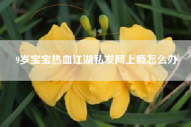 9岁宝宝热血江湖私发网上瘾怎么办  第1张