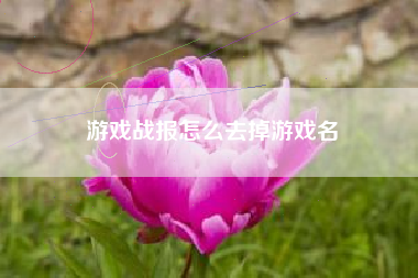 游戏战报怎么去掉游戏名