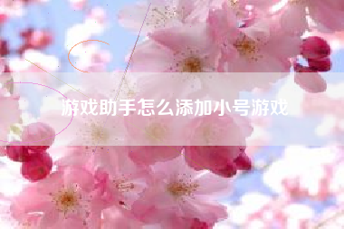 游戏助手怎么添加小号游戏