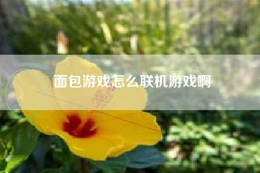 面包游戏怎么联机游戏啊