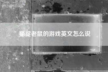 猫捉老鼠的游戏英文怎么说
