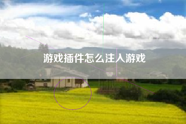 游戏插件怎么注入游戏