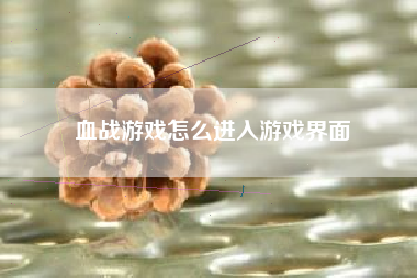 血战游戏怎么进入游戏界面  第1张