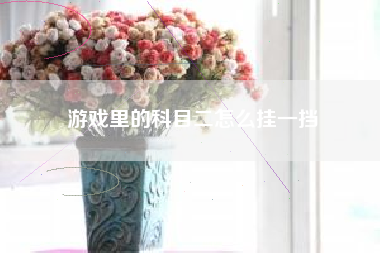 游戏里的科目二怎么挂一挡  第1张