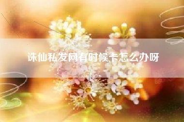 诛仙私发网有时候卡怎么办呀